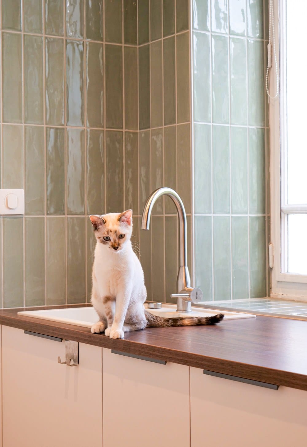 Buanderie chic et fonctionnelle dans une maison de Tournus